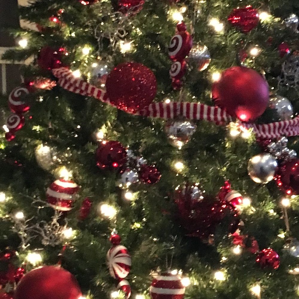 Meet your Posher, Jill